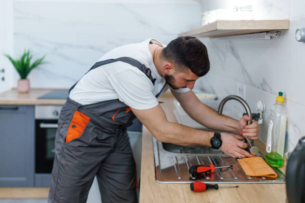 Best Plumbing Services Near Me  in Mount Olive, IL