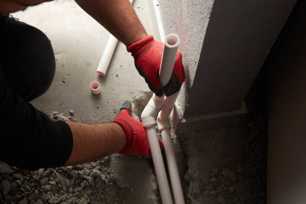 Best Clogged Drain Plumber  in Mount Olive, IL