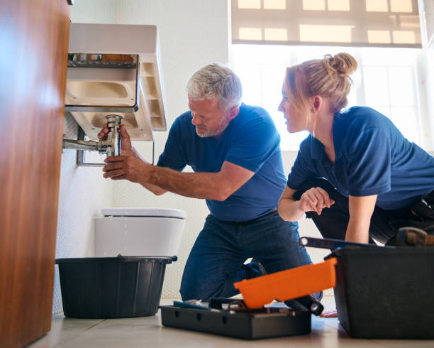 Best Toilet Repair Services  in Mount Olive, IL