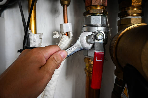 Best Plumbing Inspection Services  in Mount Olive, IL